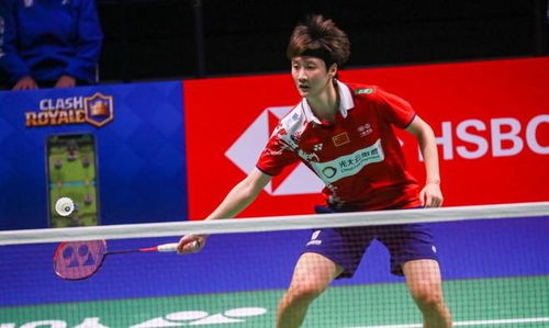 媒体人：陈国豪接近以超级B类合同转会广东 球队将王少杰送还北控